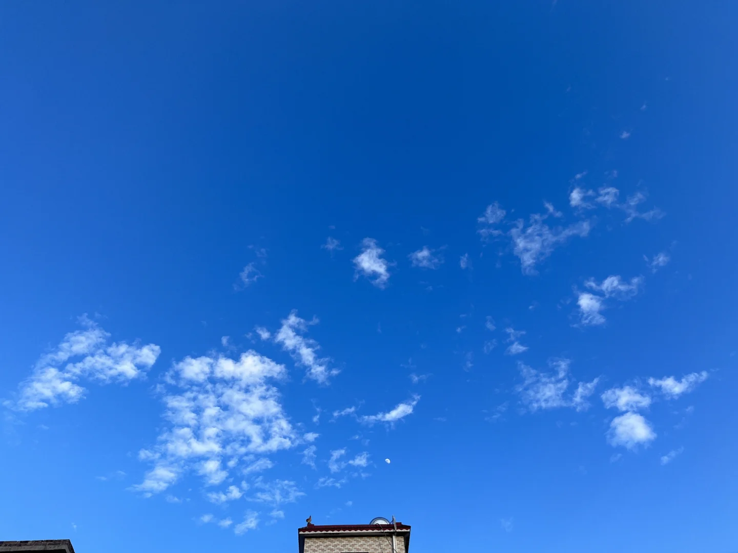 微博手机网页版入口_微博手机型号怎么关闭显示_手机微博