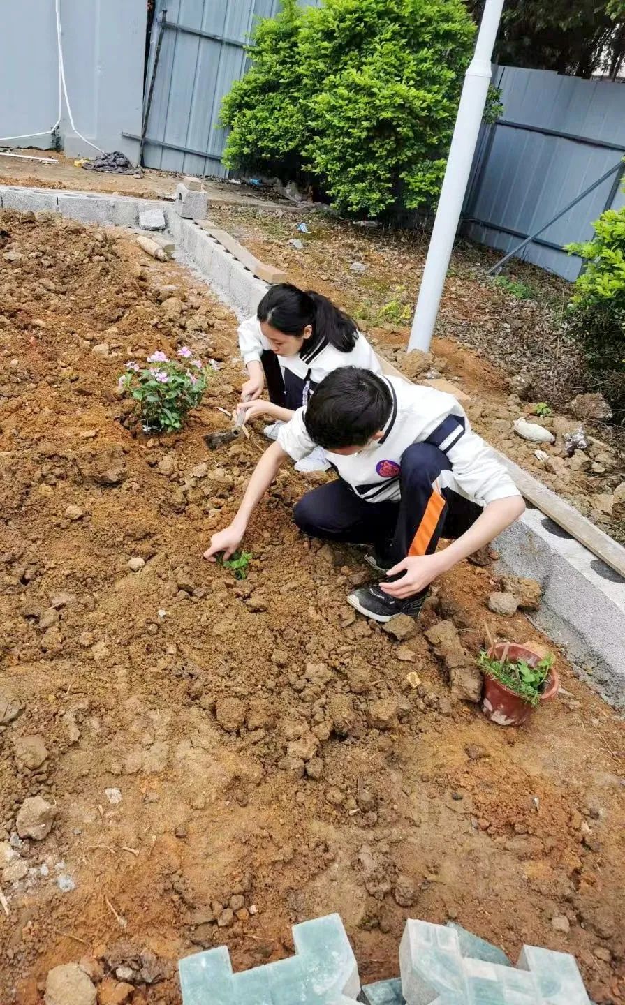 动土：种下希望的种子，开启梦想之旅