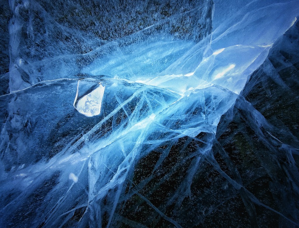 寒风雕刻的夜晚，遇见孤独的凛雪鸦，寻找温暖与希望