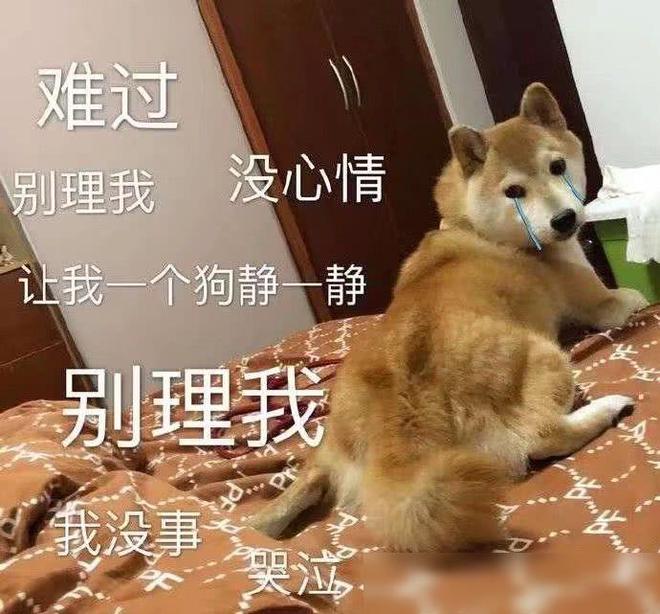 停用词去除_停用词过滤_去停用词