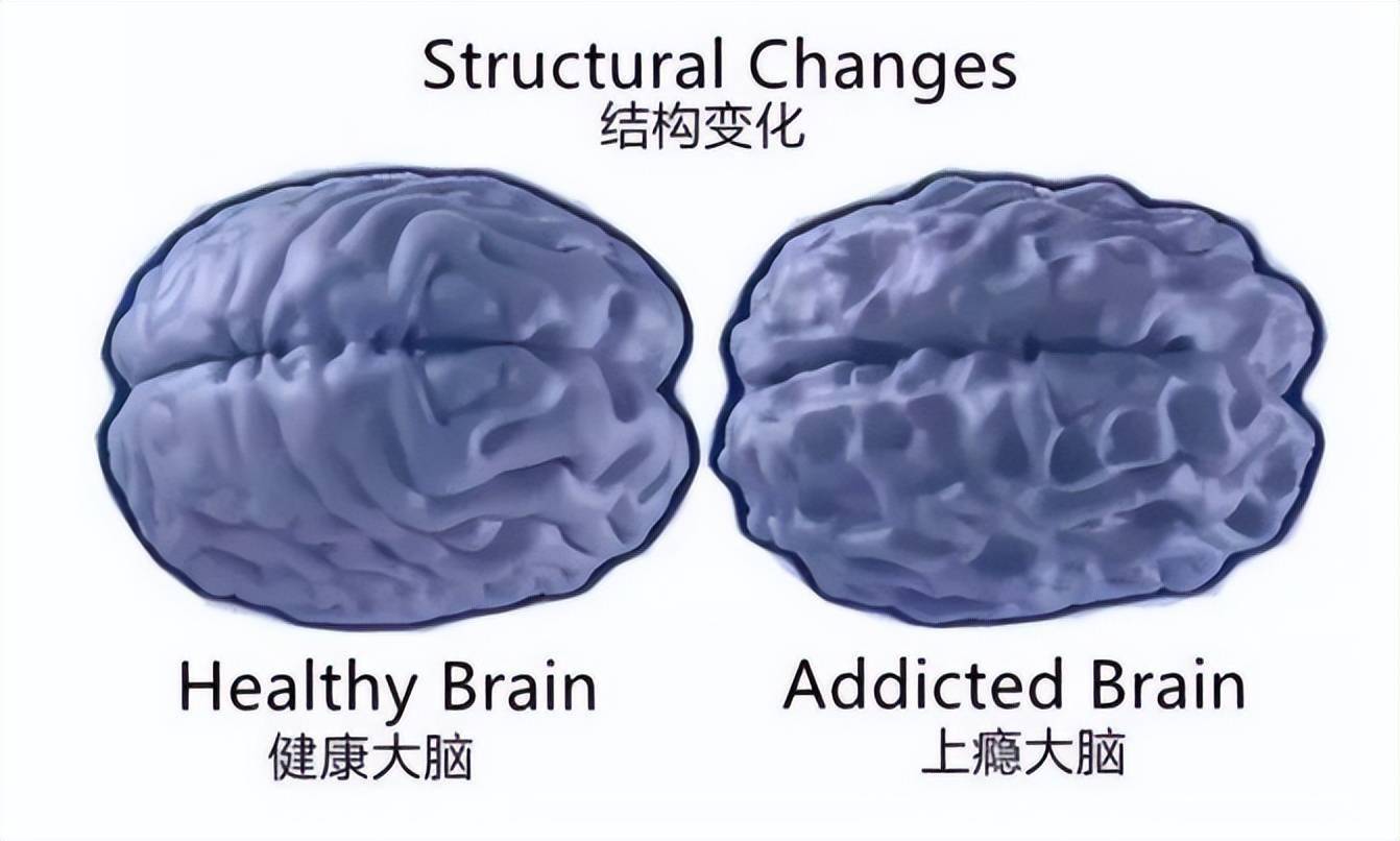 双刃职业手机游戏_职业双刃手机游戏怎么玩_有双刀职业的网游