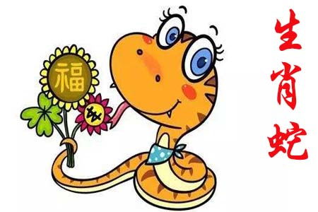 属蛇_05属什么_属鼠