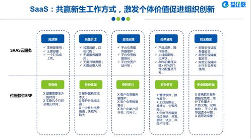 软件安全企业属什么行业