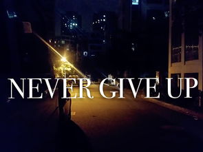 never give up boy游戏,探索Never Give Up Boy游戏魅力之旅