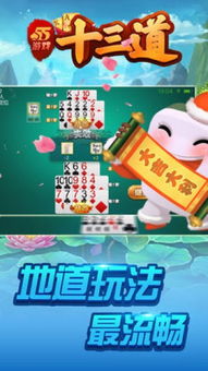 十三道游戏,探索无尽乐趣的奇幻之旅