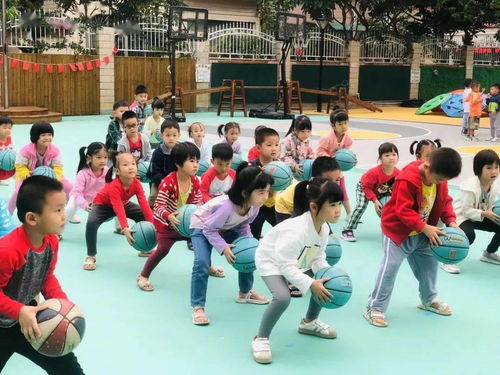 中班篮球游戏,健康成长