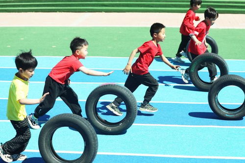轮胎运动游戏,幼儿快乐健身新方式”