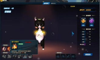 猫咪惊魂游戏正版 