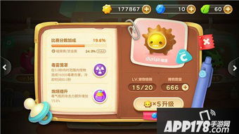 榴莲游戏攻略,打造强力阵容的必备技巧