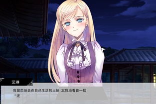 假面骑士黑暗帝骑模拟器 