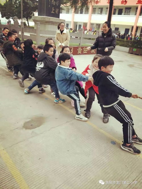 拔河网 