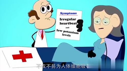 饮水体游戏,探索生存与连接的海洋之旅