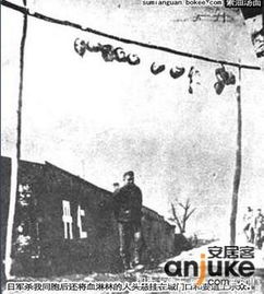 决战平安京游戏官方版手机下载地址v1.91.0 