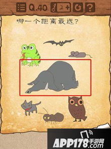 最囧游戏3 