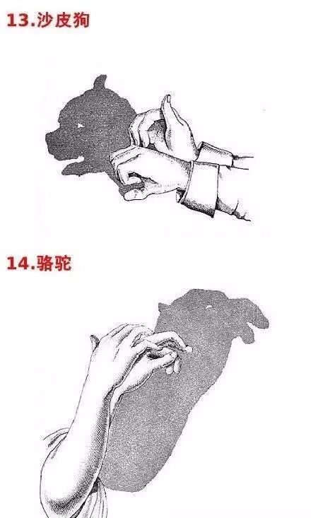 手影戏游戏,手影戏的趣味与智慧