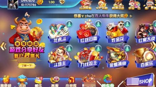 佳运游戏挂,揭秘游戏作弊背后的秘密与风险