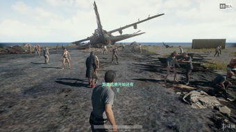 极限求生游戏,挑战生死边缘的生存游戏之旅