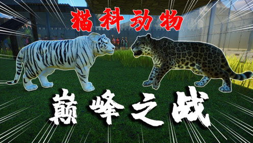 泡泡大作战游戏手机游戏 
