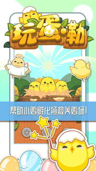 小鸡孵化游戏,从蛋到鸡的成长冒险