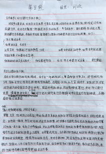 小朋友过马路 
