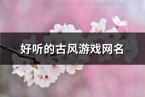 装扮我的古风公主 