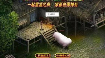 杭州志愿汇 