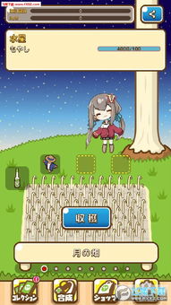 新豆芽视频下载安装 