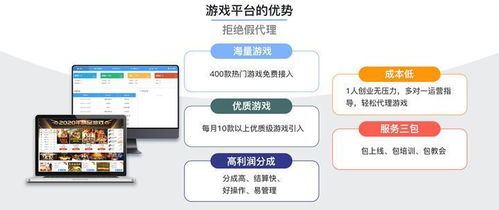 游戏运营平台开发,打造沉浸式娱乐体验的幕后故事