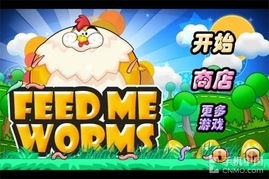 鸡抓虫游戏,趣味盎然的互动游戏体验