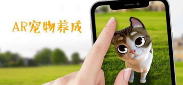 AR捉宠游戏,虚拟与现实交织的奇幻冒险之旅