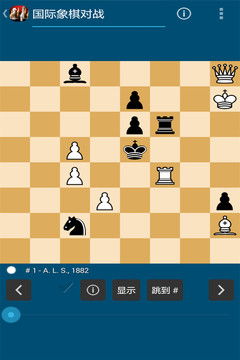 天天国际象棋 