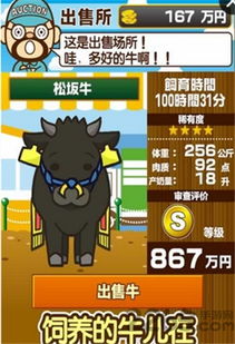 口袋养牛 