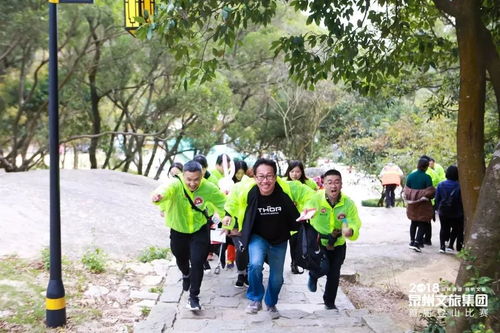 公司爬山游戏,公司爬山游戏精彩回顾”