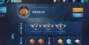 贵族性游戏,探寻古代贵族游戏的魅力与传承