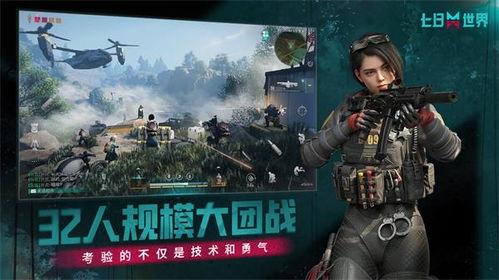 世界网络游戏日,探索虚拟世界的无限魅力与挑战