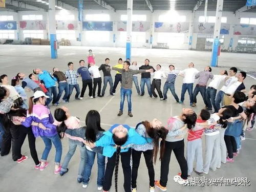 集体培训游戏,集体培训游戏深度解析