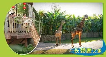 仓鼠村庄游戏最新版 