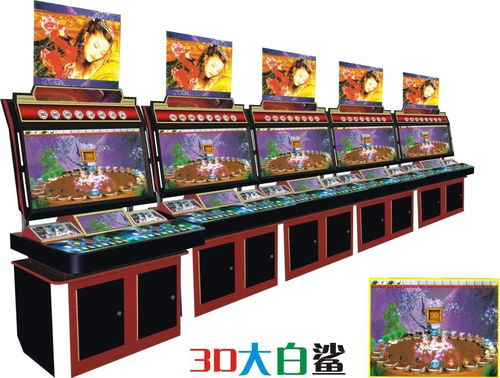 3d大白鲨游戏机,3D大白鲨游戏机带你体验刺激鲨鱼捕猎之旅