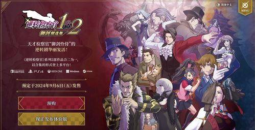 检查官游戏,一场智慧与策略的较量
