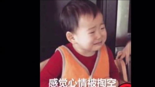 麻花影视大全下载正版安装 