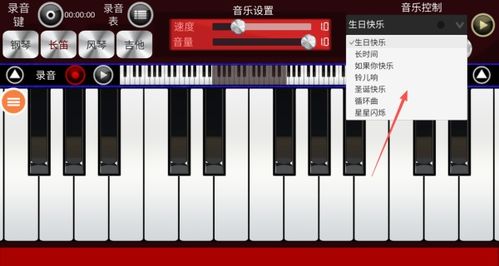 宝贝模拟弹钢琴 