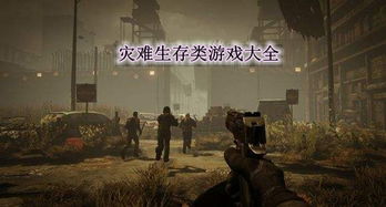 人类游乐场4 