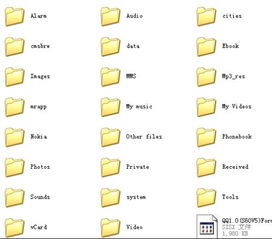 RealMotoVlogBrasil游戏中文版2024下载v1.35  RealMotoVlogBrasil游戏中文版2024下载v1.35