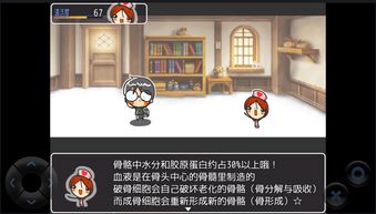 2021人体解剖图谱 