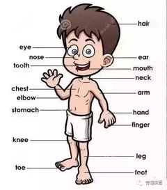 适合跑步身体竞赛3D 