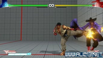 20秒格斗游戏最新版(Toe2Toe) 