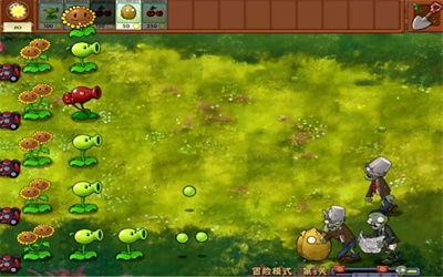 植物大战僵尸随机植物版本 